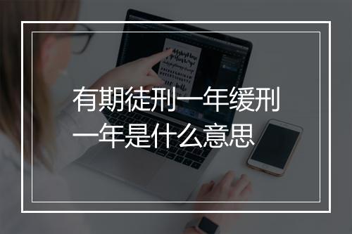有期徒刑一年缓刑一年是什么意思