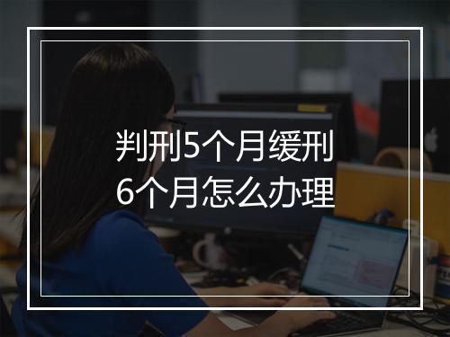 判刑5个月缓刑6个月怎么办理