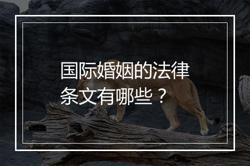 国际婚姻的法律条文有哪些？