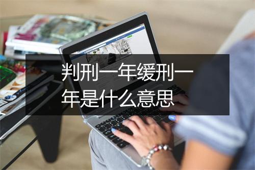 判刑一年缓刑一年是什么意思