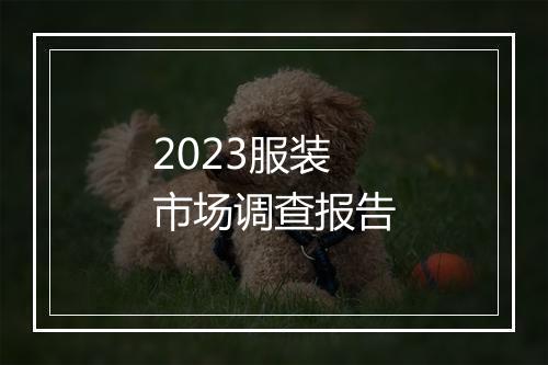 2023服装市场调查报告