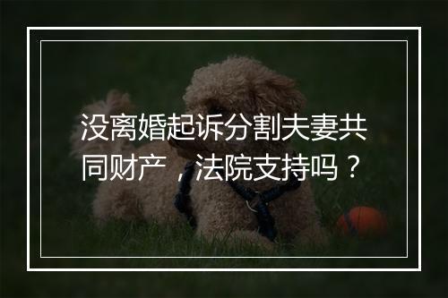 没离婚起诉分割夫妻共同财产，法院支持吗？