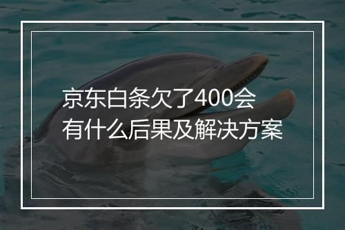 京东白条欠了400会有什么后果及解决方案