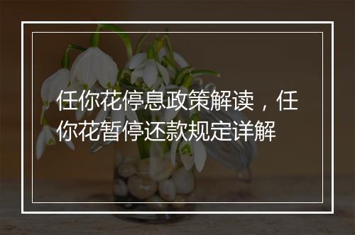 任你花停息政策解读，任你花暂停还款规定详解