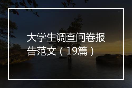 大学生调查问卷报告范文（19篇）