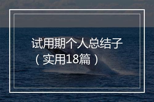 试用期个人总结子（实用18篇）