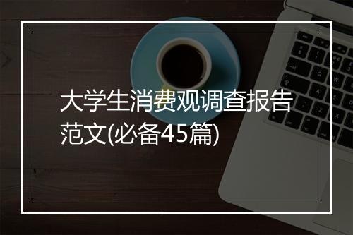 大学生消费观调查报告范文(必备45篇)