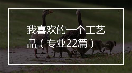 我喜欢的一个工艺品（专业22篇）
