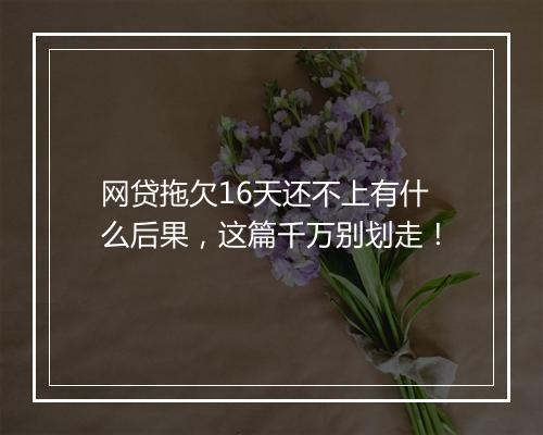 网贷拖欠16天还不上有什么后果，这篇千万别划走！