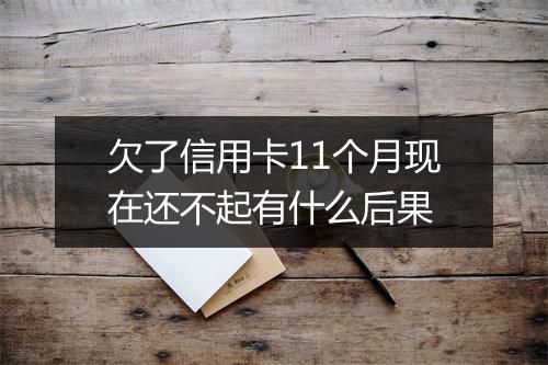欠了信用卡11个月现在还不起有什么后果