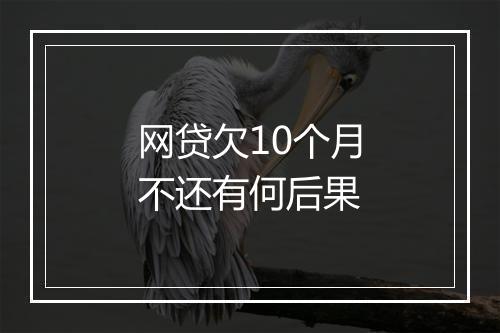 网贷欠10个月不还有何后果
