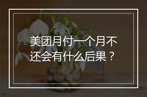 美团月付一个月不还会有什么后果？