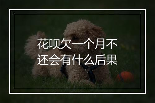 花呗欠一个月不还会有什么后果