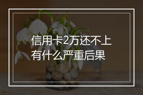 信用卡2万还不上有什么严重后果