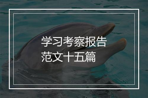 学习考察报告范文十五篇