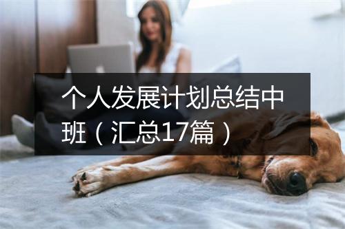 个人发展计划总结中班（汇总17篇）