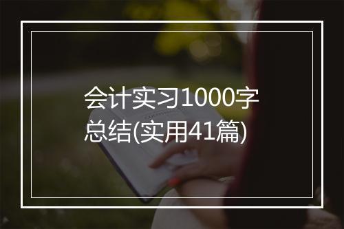 会计实习1000字总结(实用41篇)