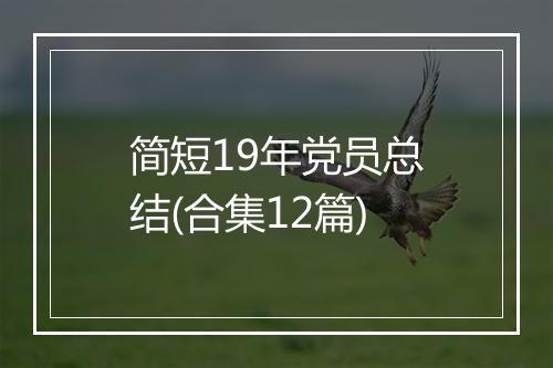 简短19年党员总结(合集12篇)