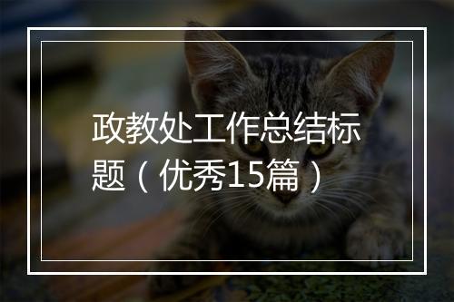 政教处工作总结标题（优秀15篇）