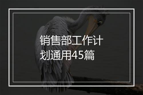 销售部工作计划通用45篇