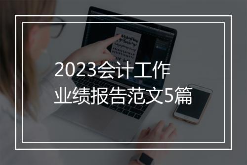 2023会计工作业绩报告范文5篇