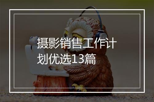 摄影销售工作计划优选13篇