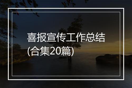 喜报宣传工作总结(合集20篇)