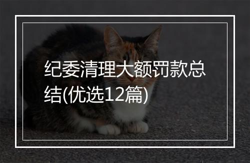 纪委清理大额罚款总结(优选12篇)