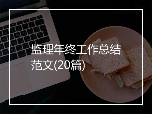 监理年终工作总结范文(20篇)