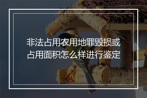 非法占用农用地罪毁损或占用面积怎么样进行鉴定
