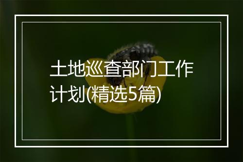土地巡查部门工作计划(精选5篇)