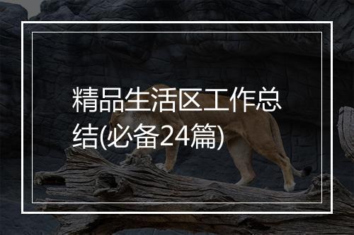 精品生活区工作总结(必备24篇)