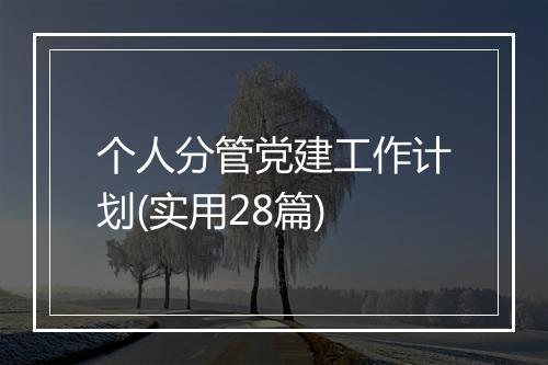 个人分管党建工作计划(实用28篇)