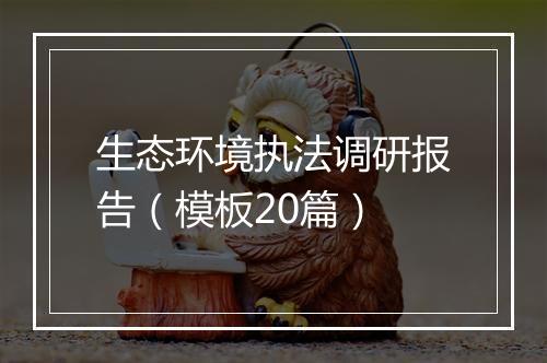 生态环境执法调研报告（模板20篇）
