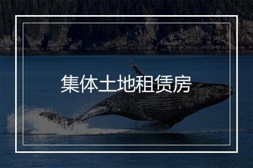 集体土地租赁房