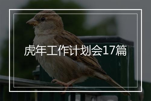 虎年工作计划会17篇
