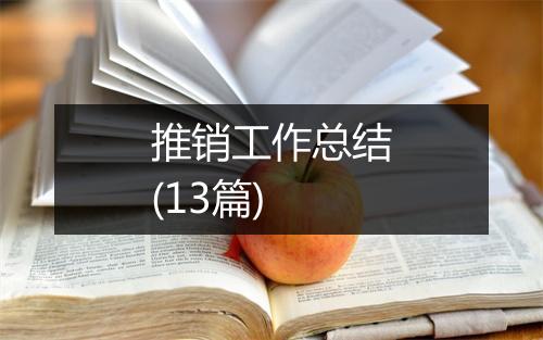 推销工作总结(13篇)