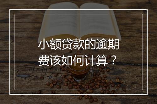 小额贷款的逾期费该如何计算？