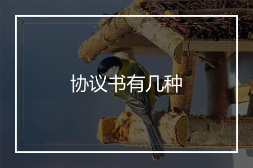 协议书有几种
