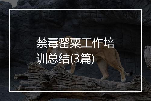 禁毒罂粟工作培训总结(3篇)