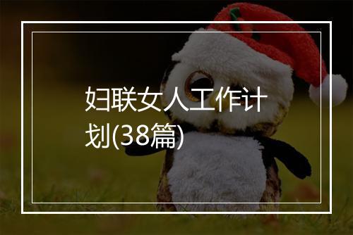 妇联女人工作计划(38篇)