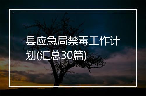 县应急局禁毒工作计划(汇总30篇)