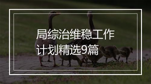 局综治维稳工作计划精选9篇
