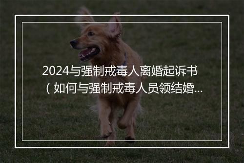 2024与强制戒毒人离婚起诉书（如何与强制戒毒人员领结婚证）
