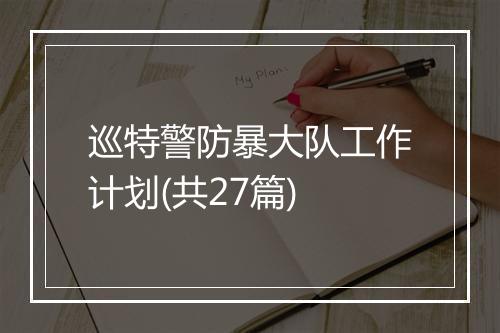巡特警防暴大队工作计划(共27篇)