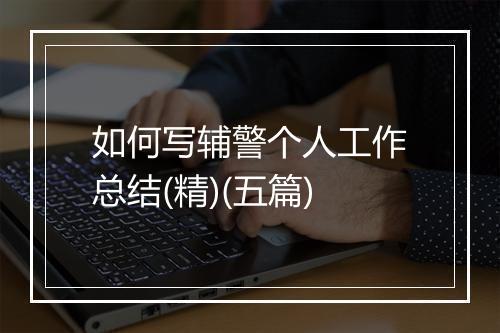 如何写辅警个人工作总结(精)(五篇)