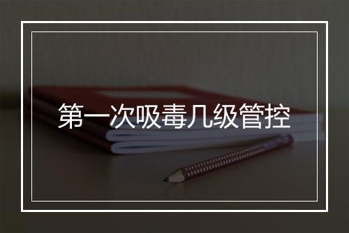 第一次吸毒几级管控