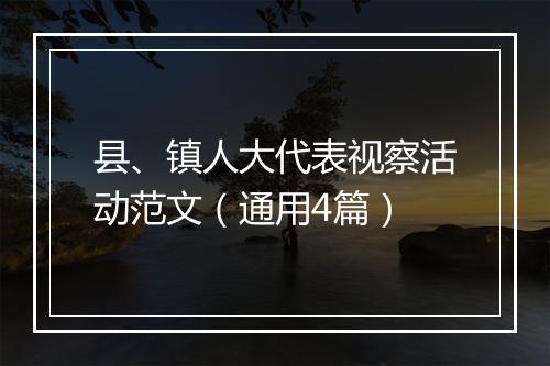 县、镇人大代表视察活动范文（通用4篇）