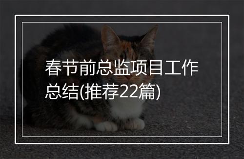 春节前总监项目工作总结(推荐22篇)