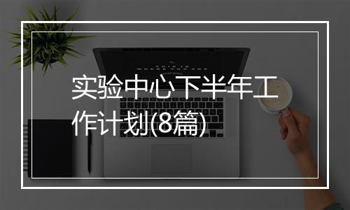 实验中心下半年工作计划(8篇)